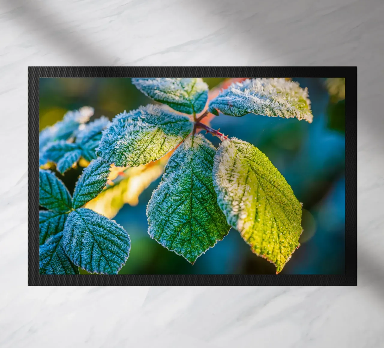 Foglie verdi di un cespuglio di more in inverno zerbino da Marcus Beckert | Fotografie