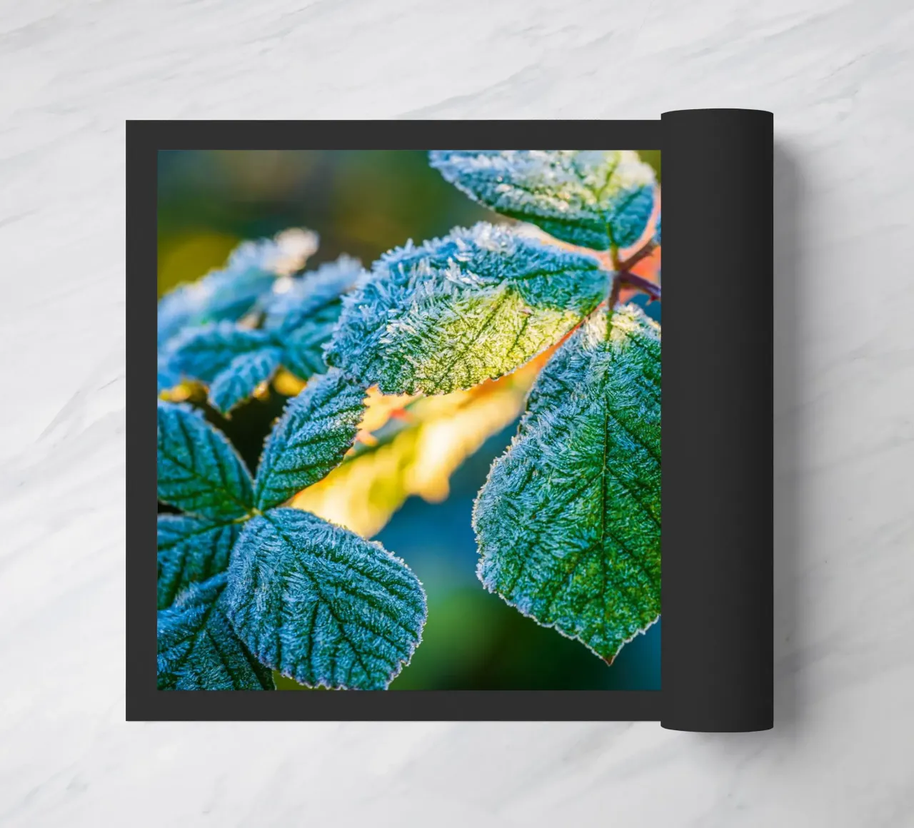 Foglie verdi di un cespuglio di more in inverno zerbino da Marcus Beckert | Fotografie