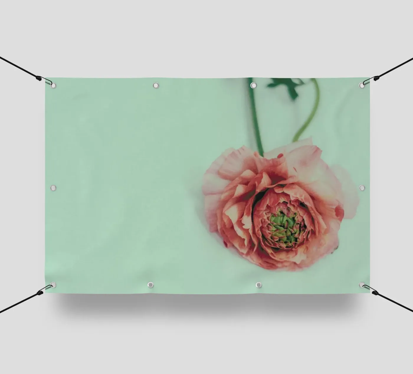 Melon PVC Plane von Morgan Kendall