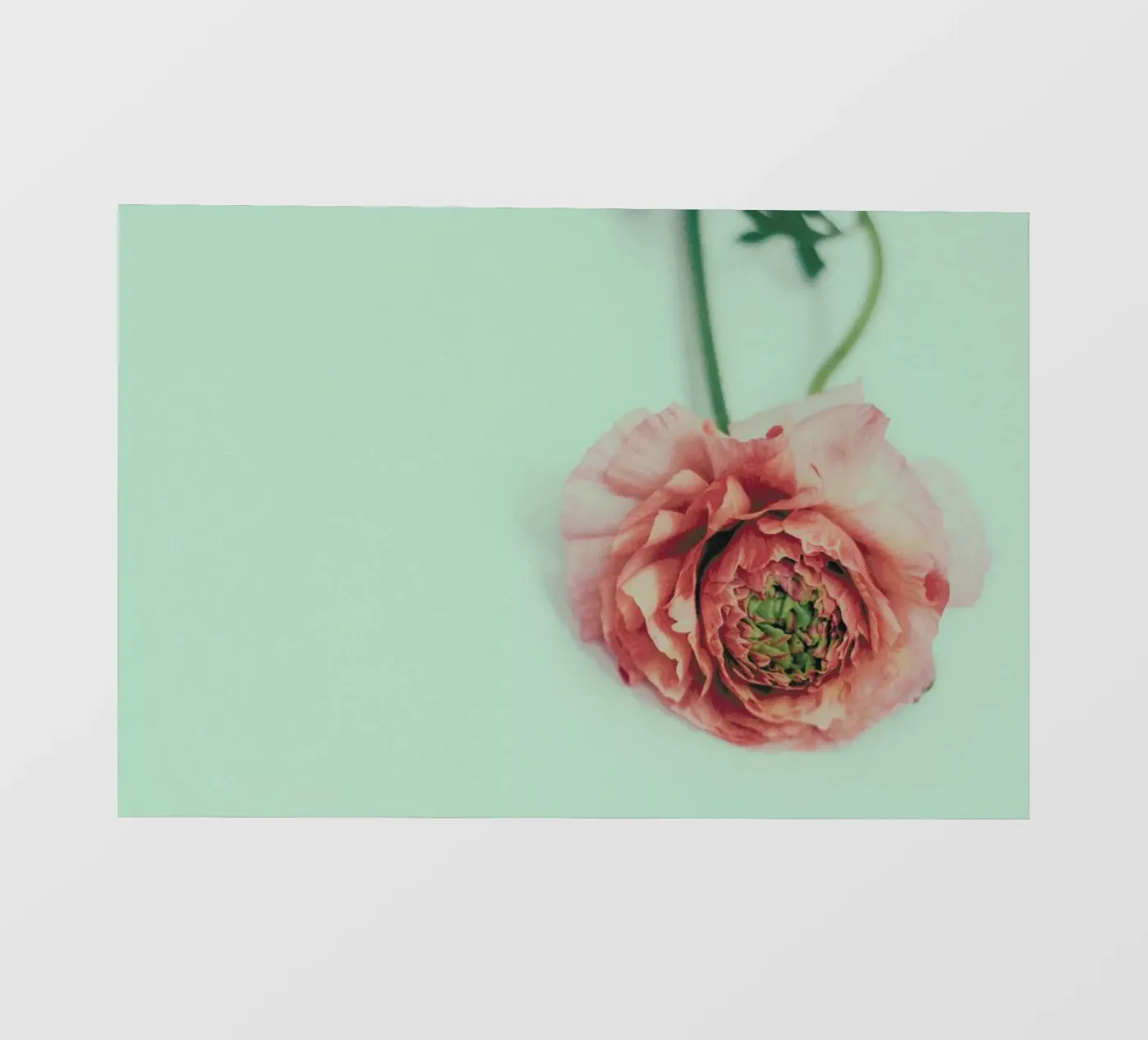 Melon PVC Plane von Morgan Kendall
