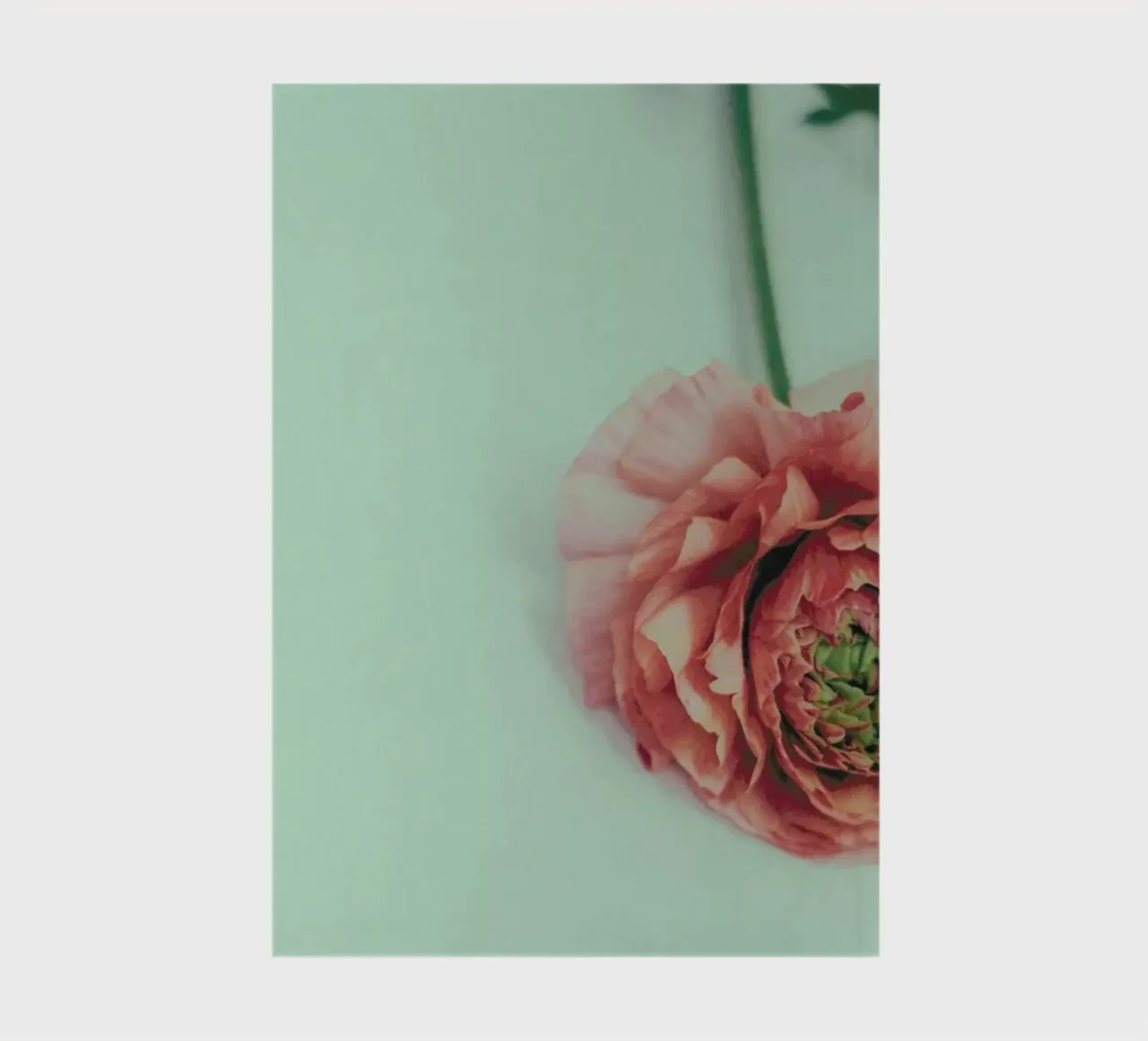Melon notebook by Morgan Kendall