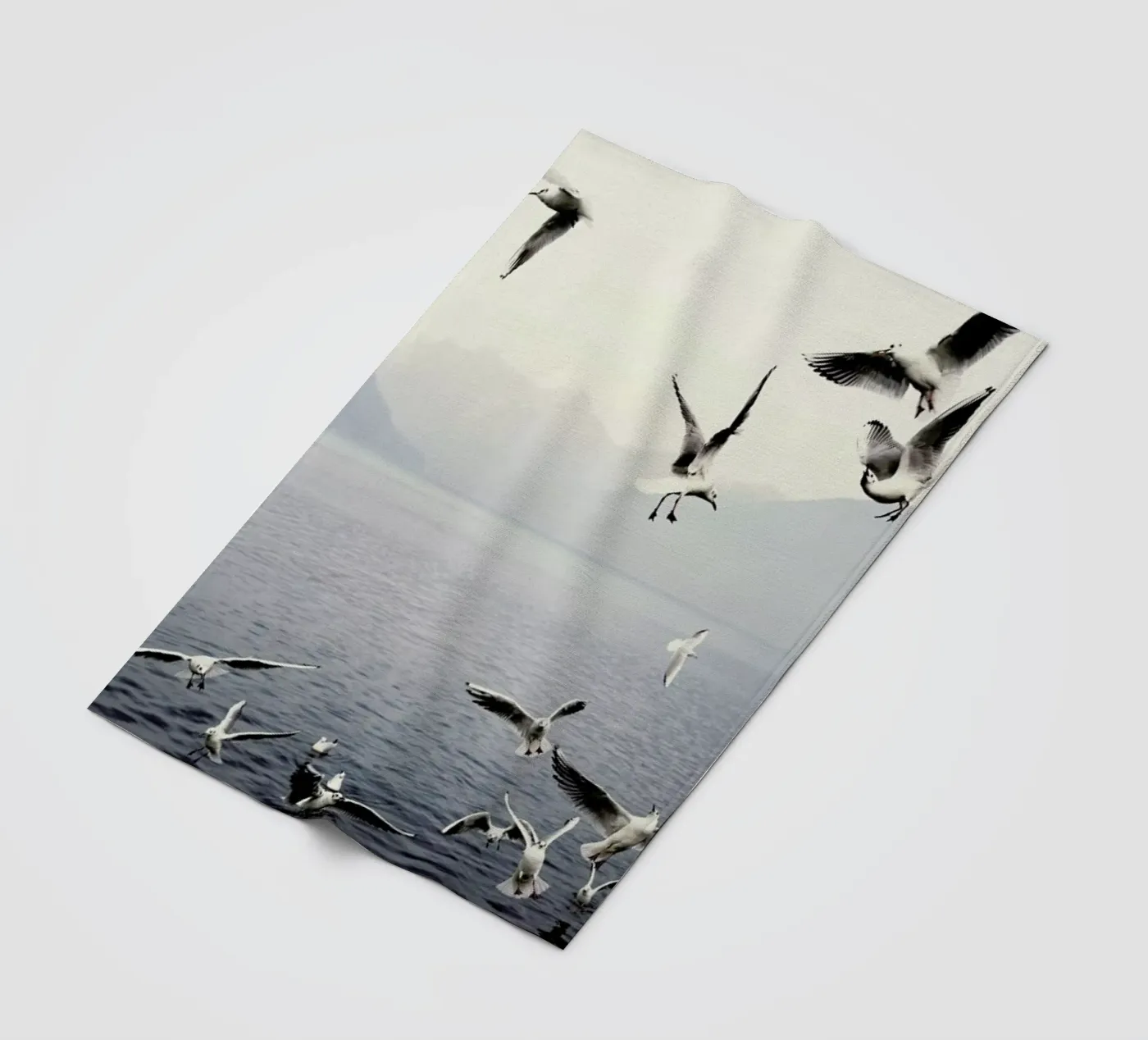 Seagulls Fleecedecke von Laura Palm