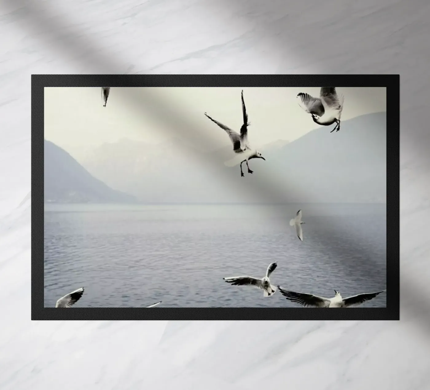 Seagulls zerbino da Laura Palm