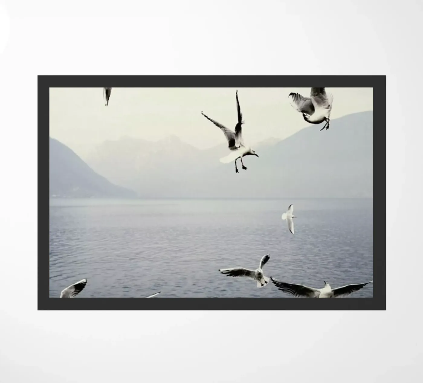 Seagulls zerbino da Laura Palm