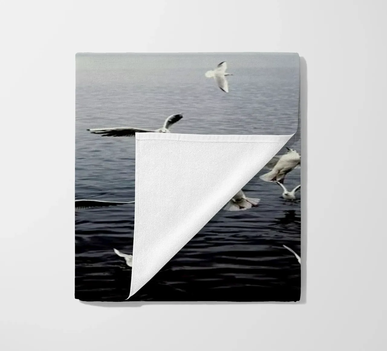 Seagulls telo mare da Laura Palm