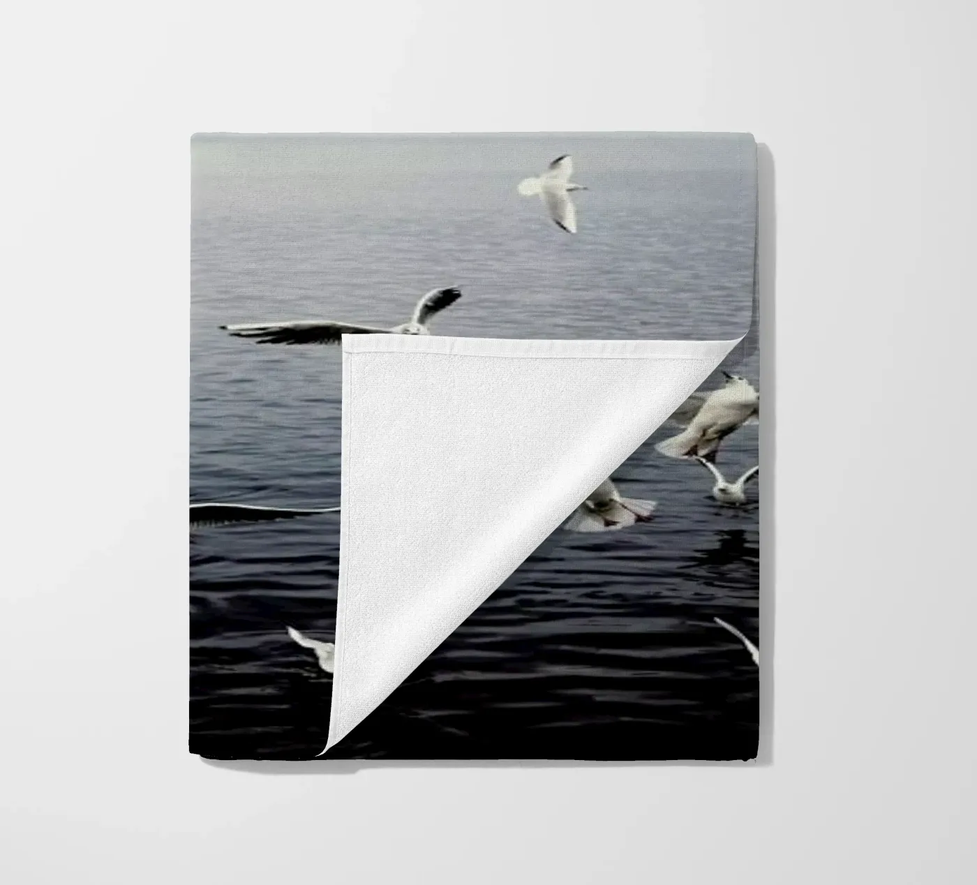 Seagulls telo mare da Laura Palm
