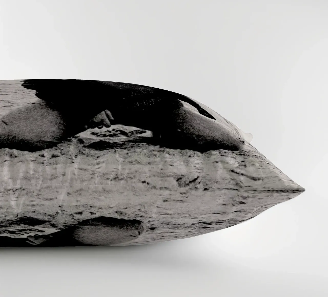 Not Afraid But cuscino da Sophie Etchart