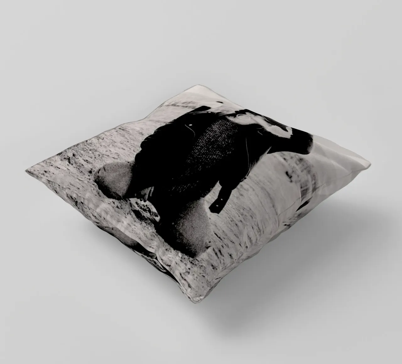 Not Afraid But cuscino da Sophie Etchart