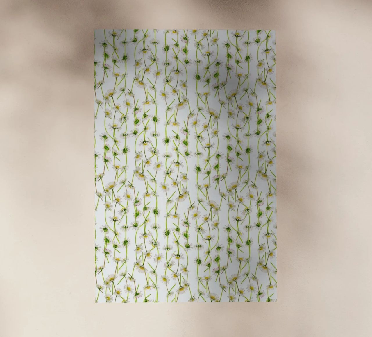 Daisy pellicola backlit da Curious Collections by Marielle Leenders