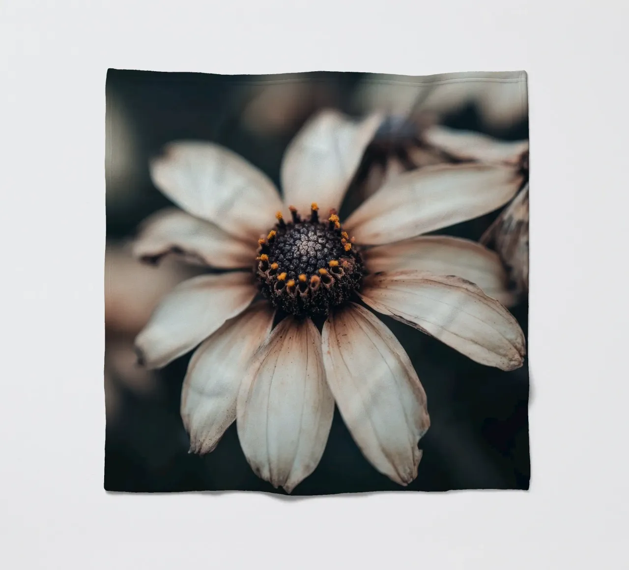 Primo piano di un fiore coperta in pile da Imagine