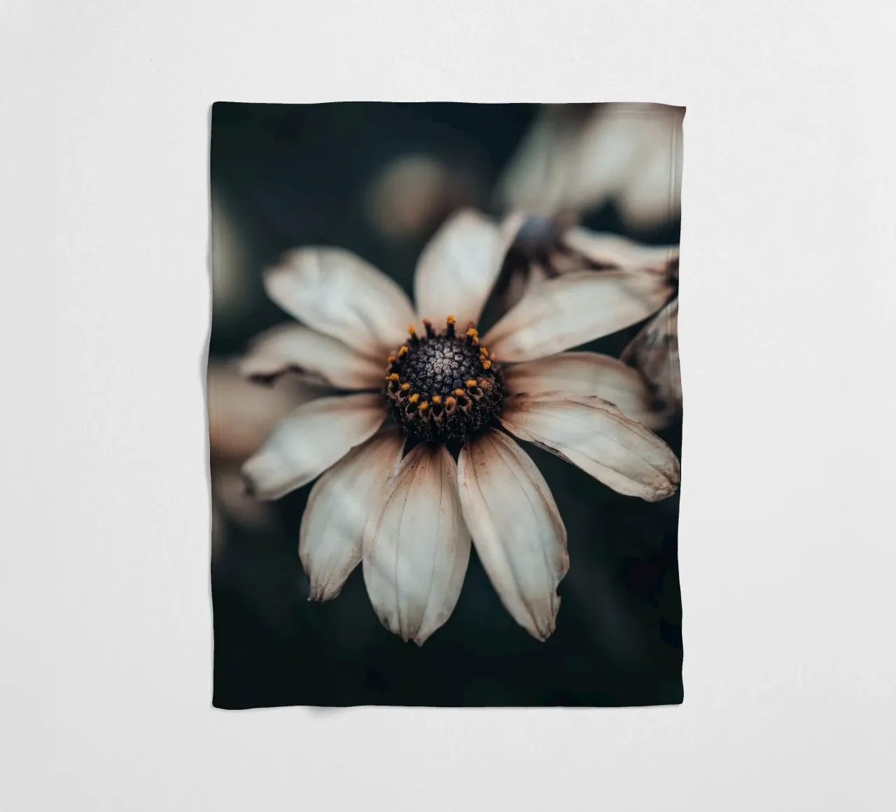 Primo piano di un fiore coperta in pile da Imagine