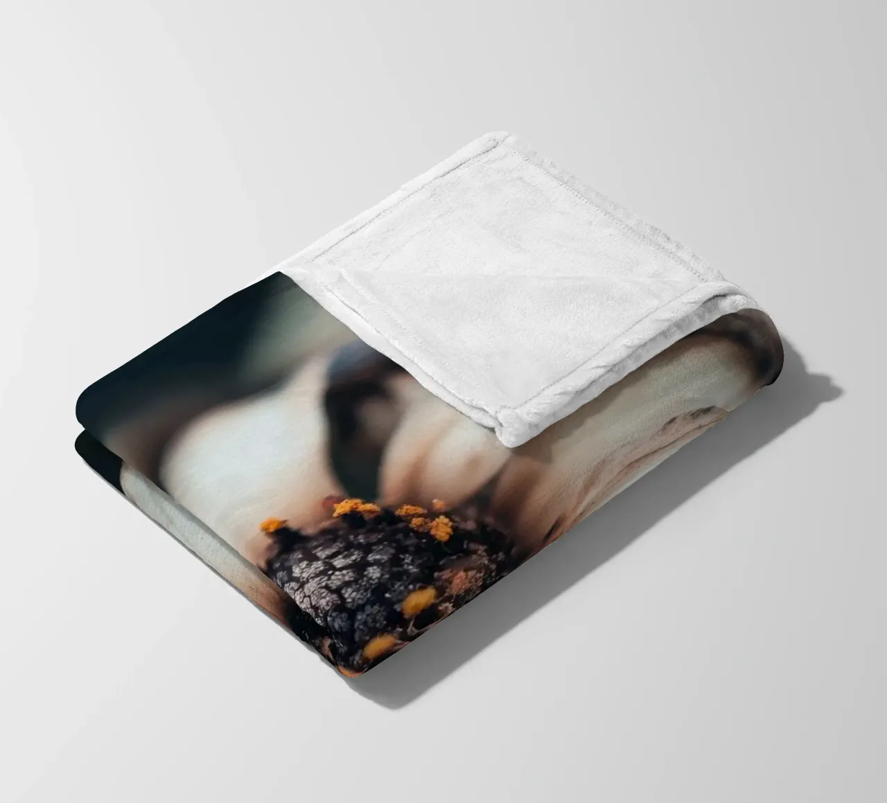 Primo piano di un fiore coperta in pile da Imagine