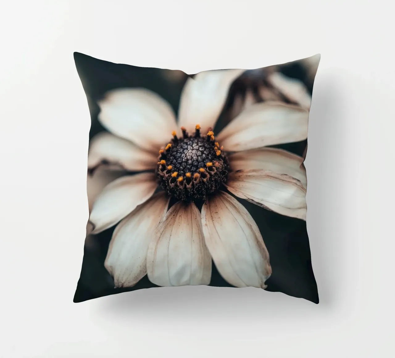 Closeup of a flower decorative cushion by Imagine