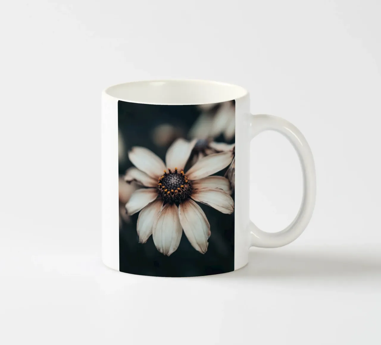 Primo piano di un fiore tazza in ceramica da Imagine