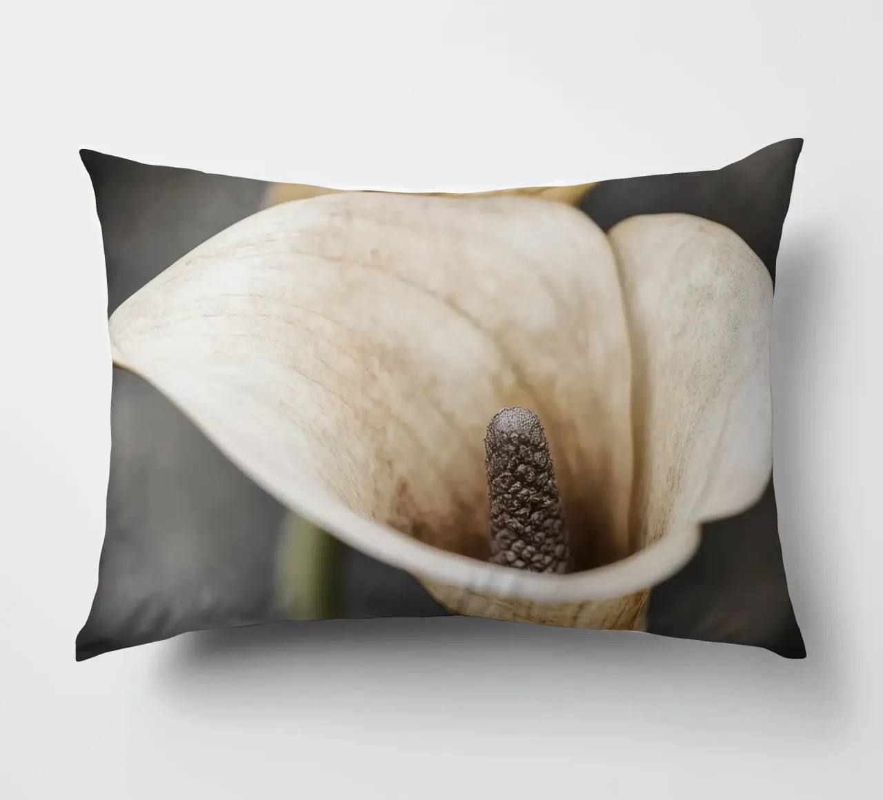 Fiore beige alium cuscino da Imagine
