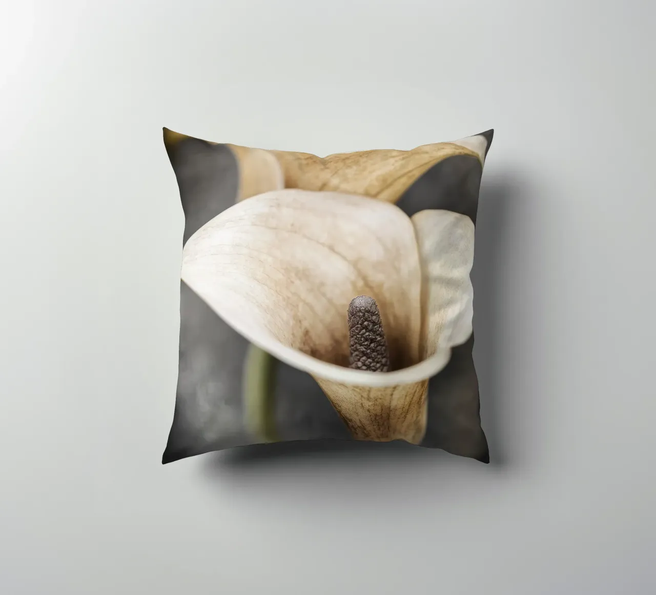 Fiore beige alium cuscino da Imagine