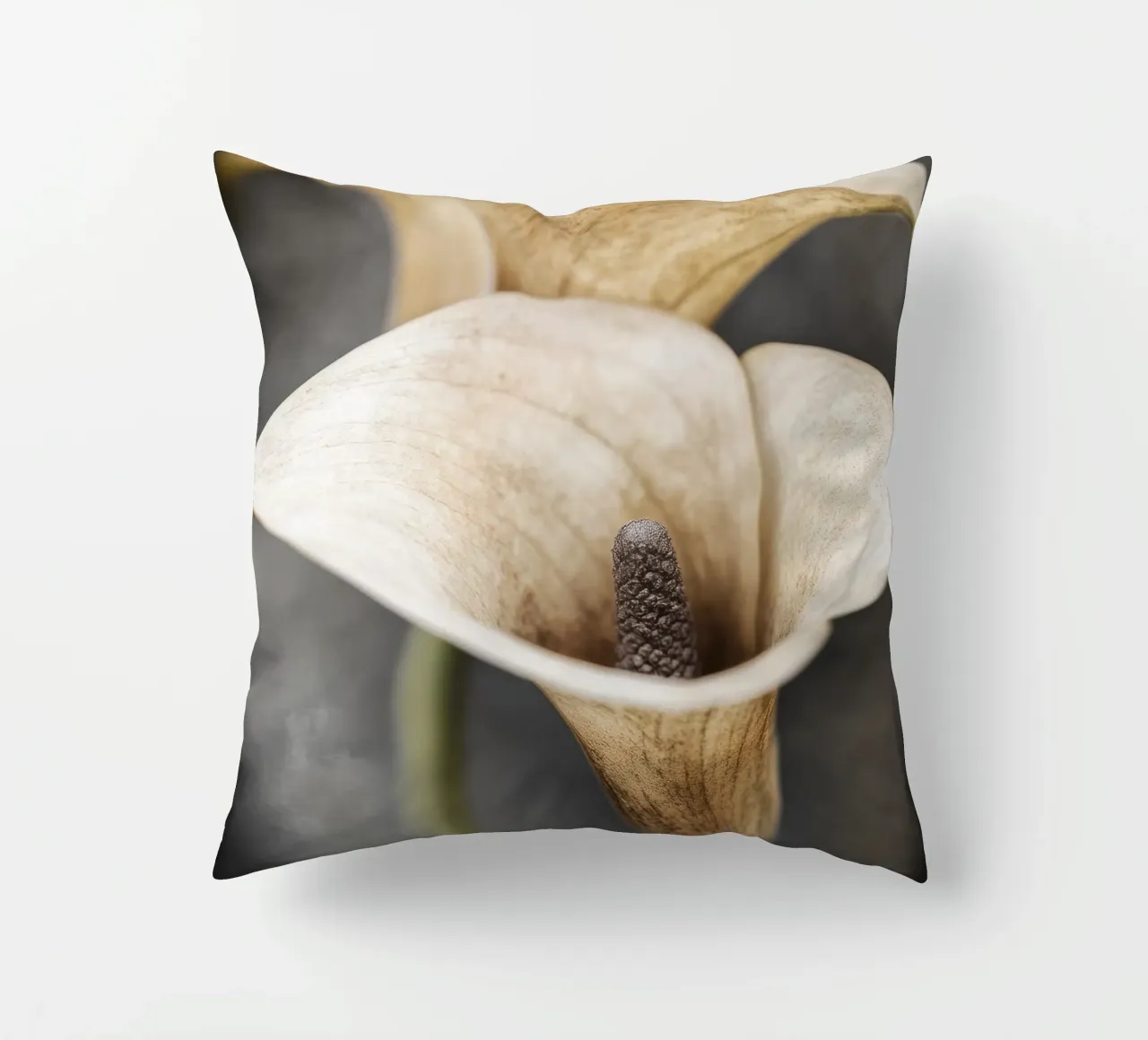 Fiore beige alium cuscino da Imagine