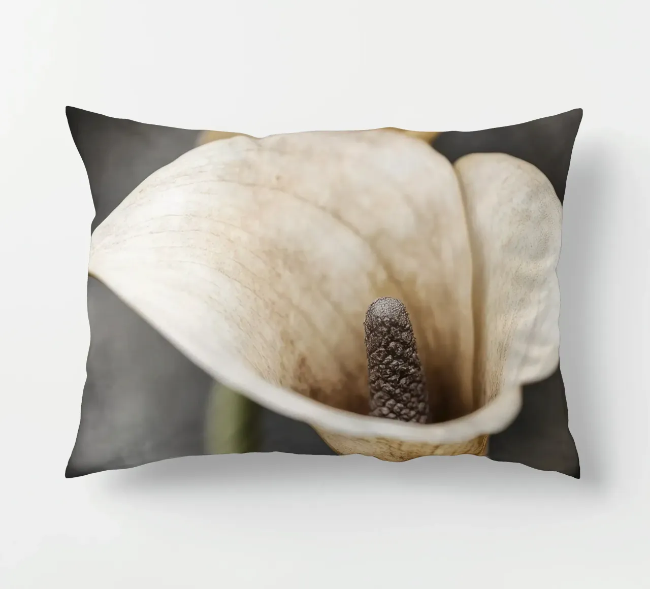 Fiore beige alium cuscino da Imagine
