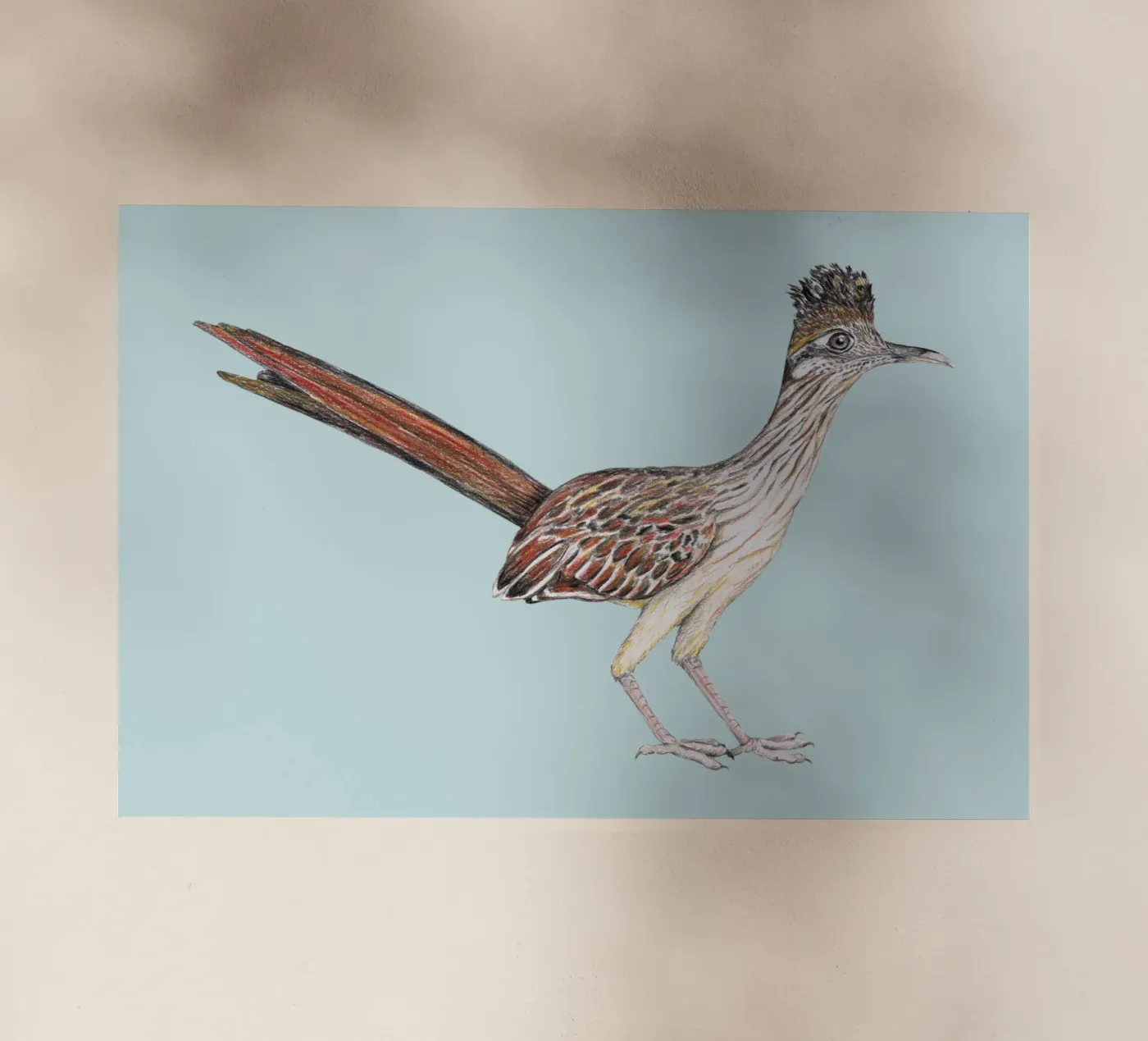 Roadrunner pellicola backlit da BwiseLizzy