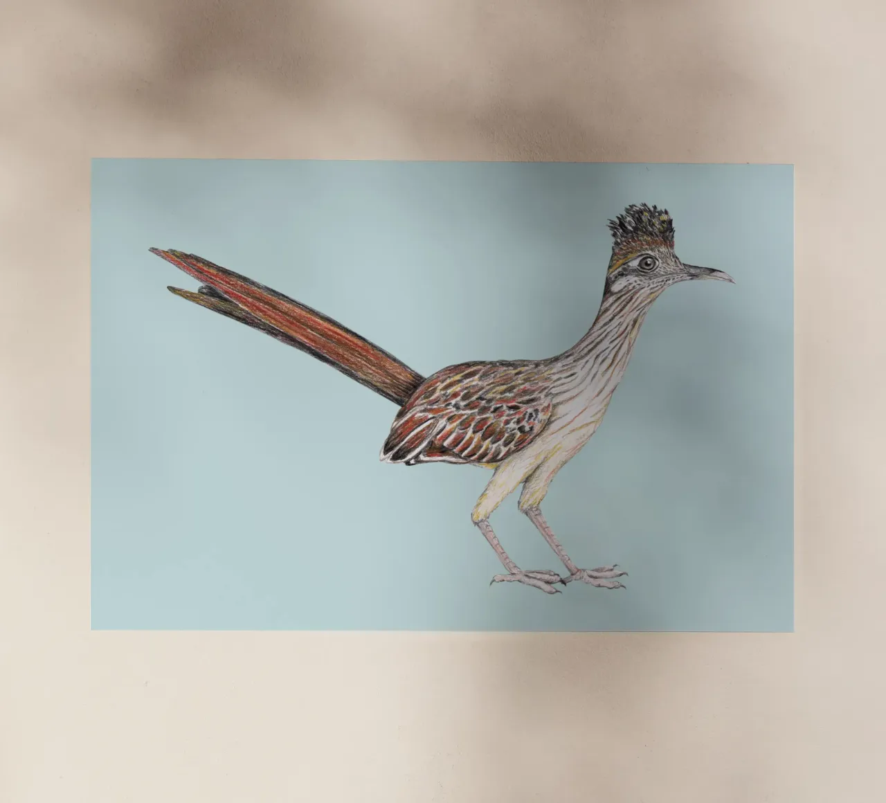 Roadrunner pellicola backlit da BwiseLizzy