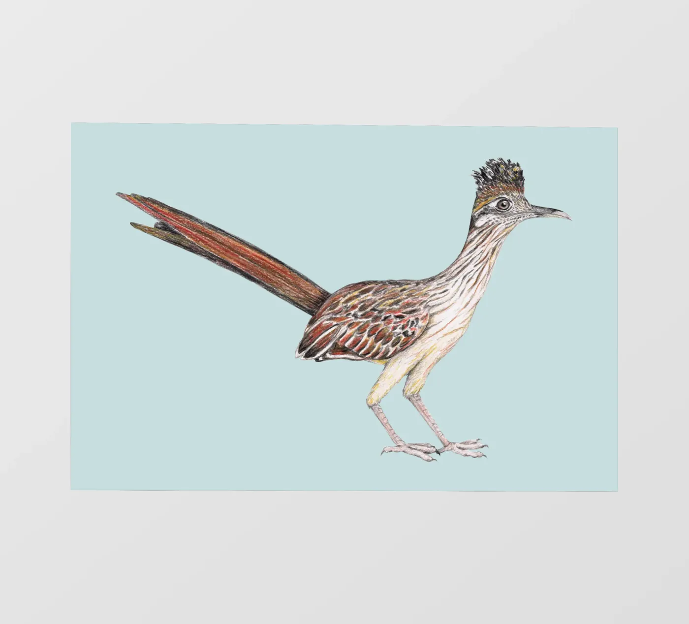 Roadrunner fotobehang van BwiseLizzy