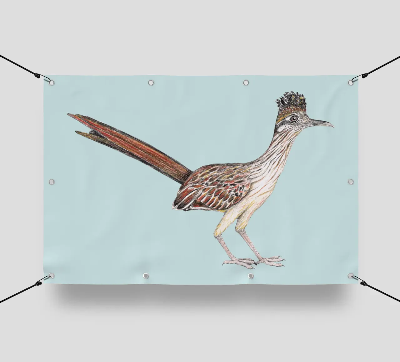 Roadrunner telo in pvc da BwiseLizzy