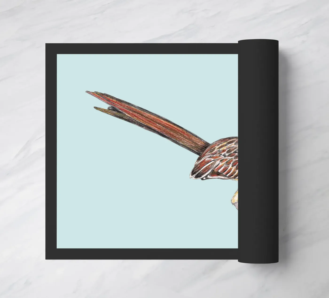 Roadrunner zerbino da BwiseLizzy