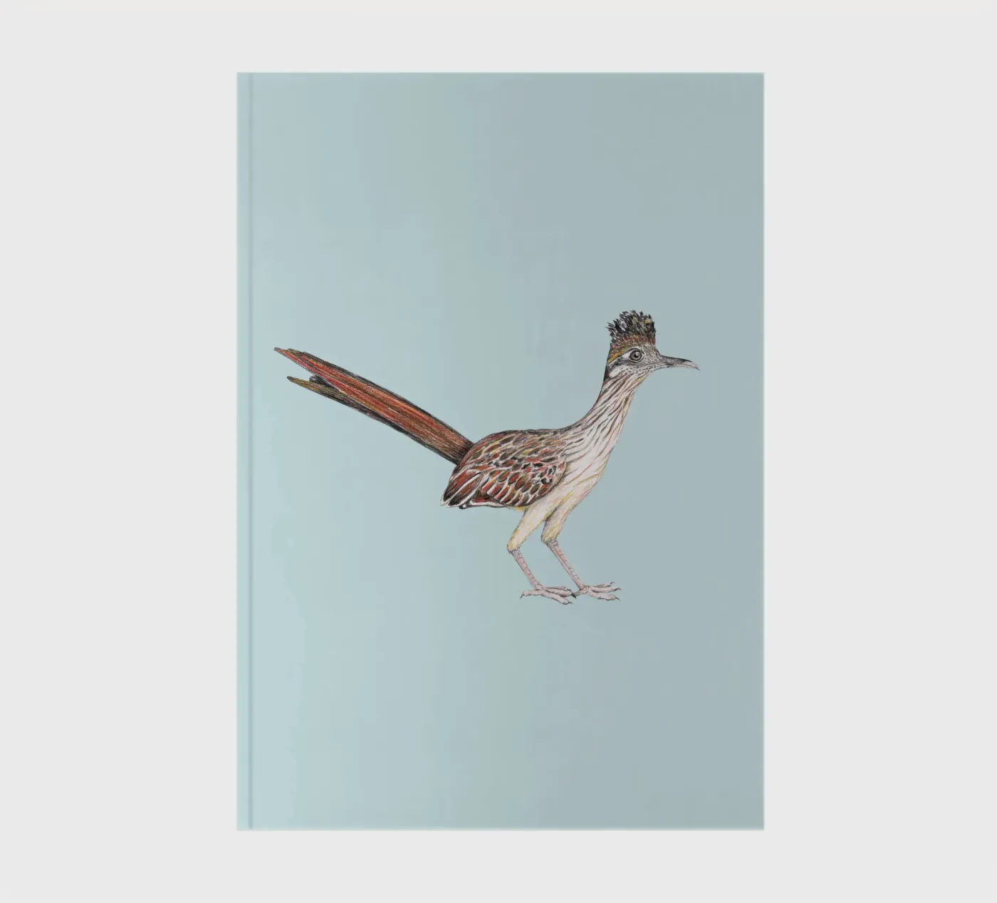 Roadrunner notebook by BwiseLizzy