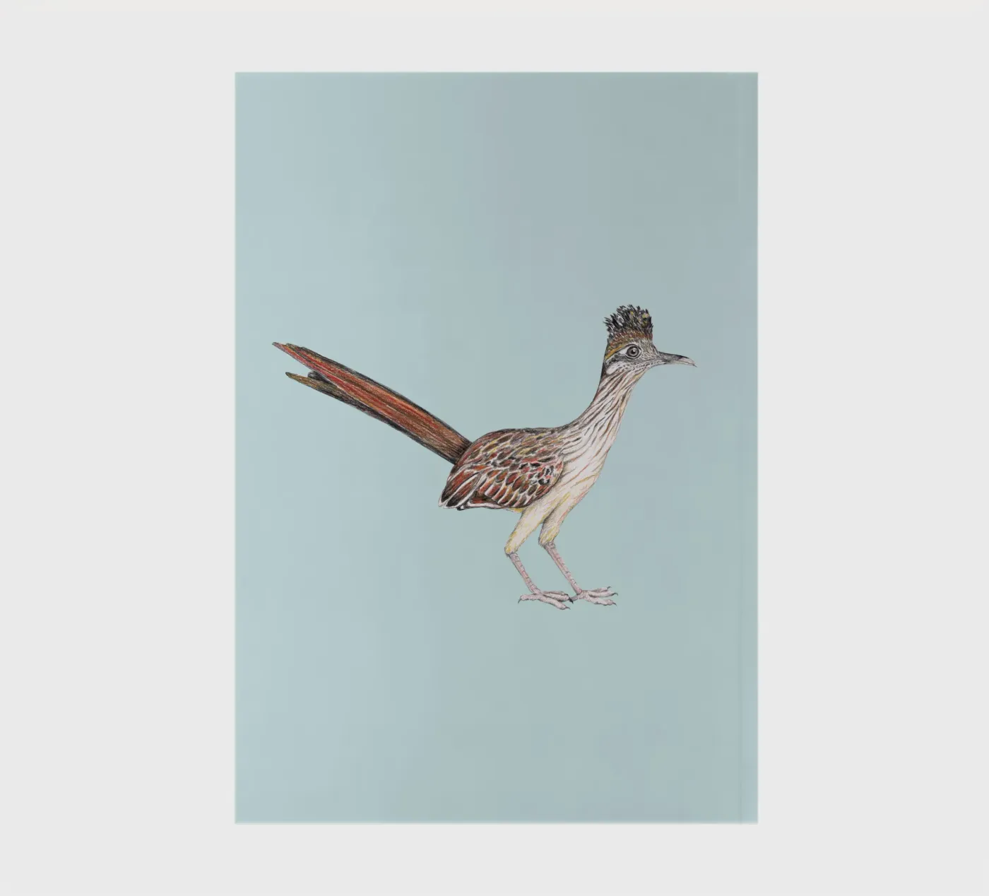 Roadrunner notebook by BwiseLizzy