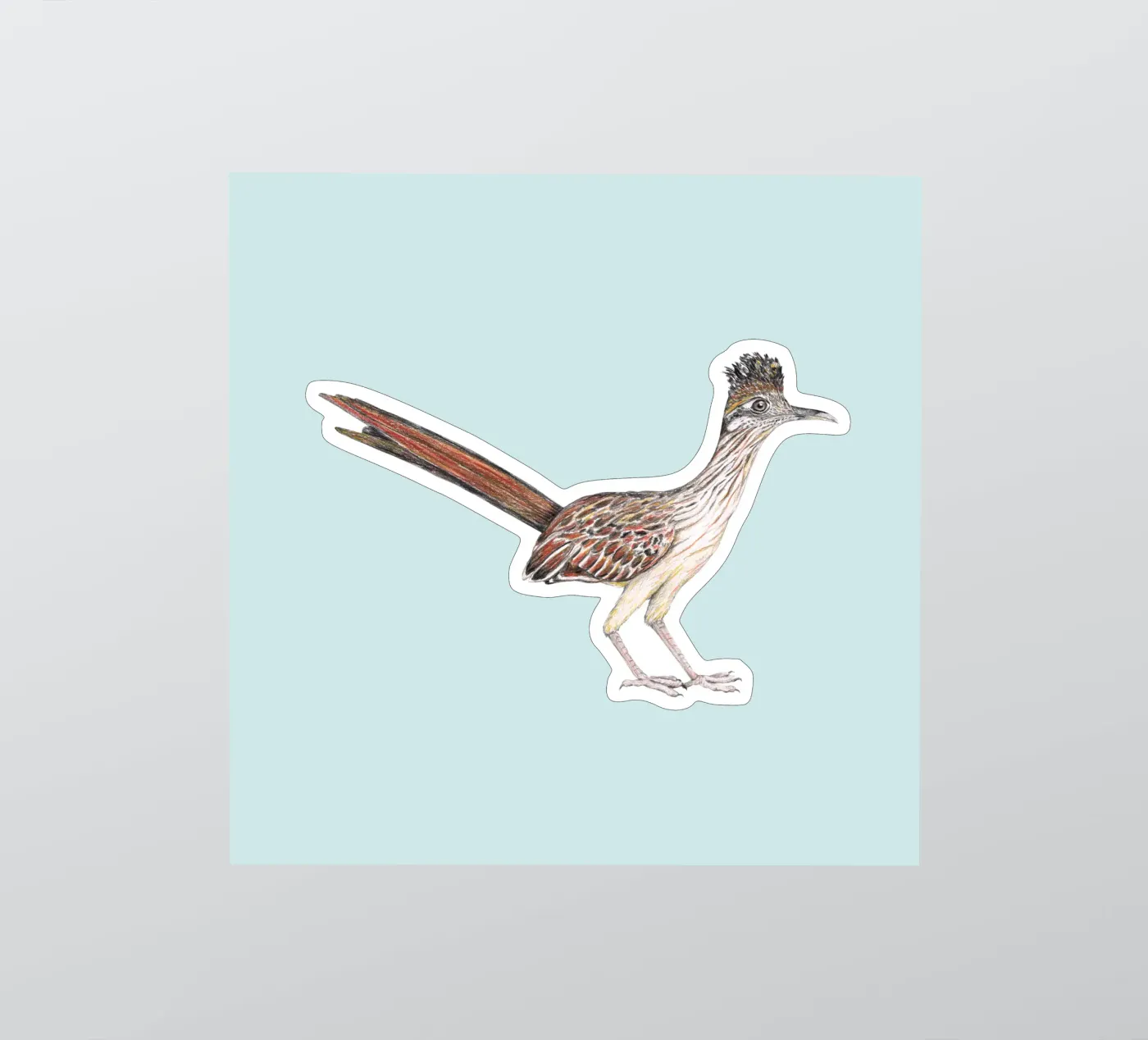 Roadrunner sticker by BwiseLizzy