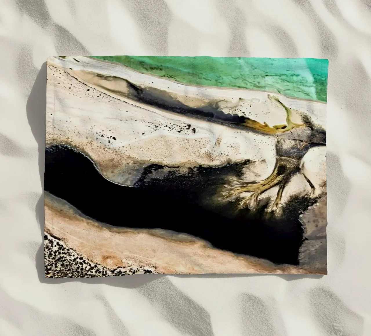 Shark Bay 14 telo mare da Simon Butterworth