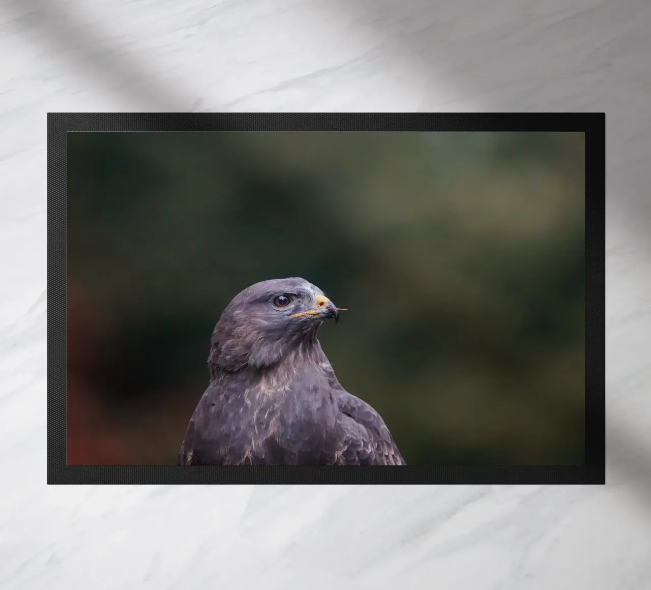 Buizerd deurmat van Tom's Wildlife