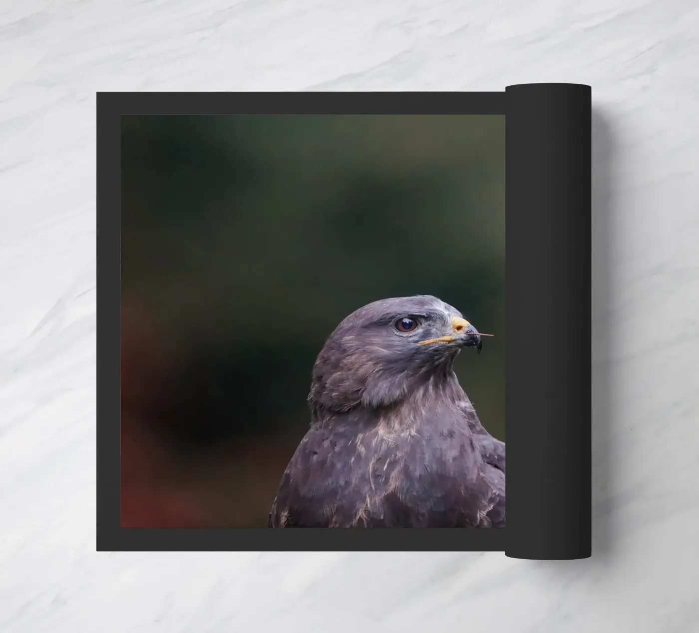 Buzzard doormat by Tom's Wildlife