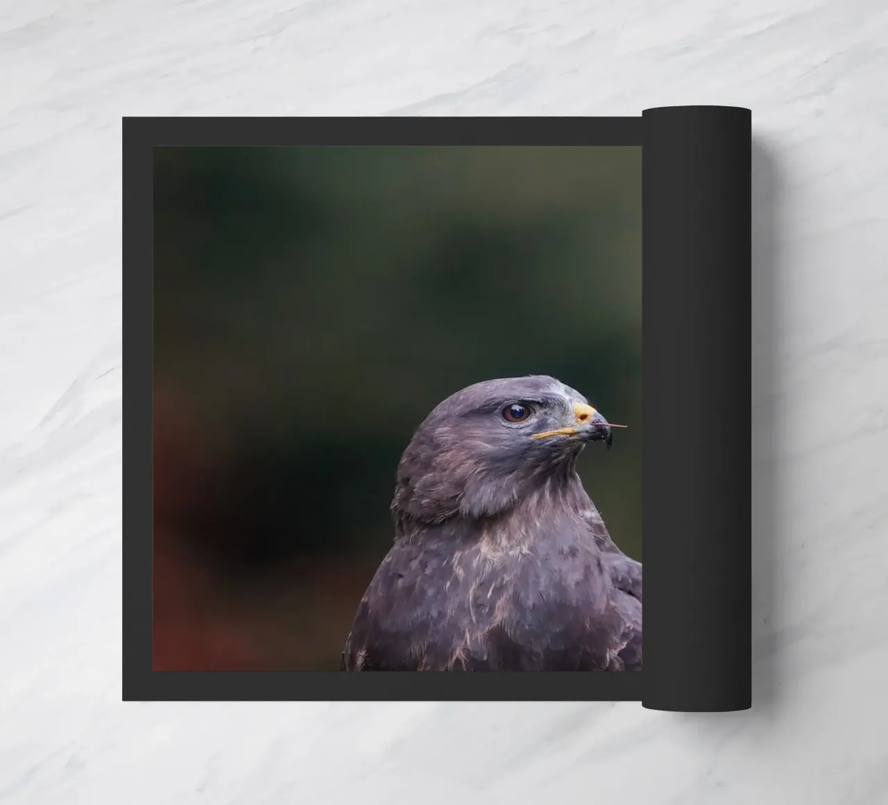 Buizerd deurmat van Tom's Wildlife