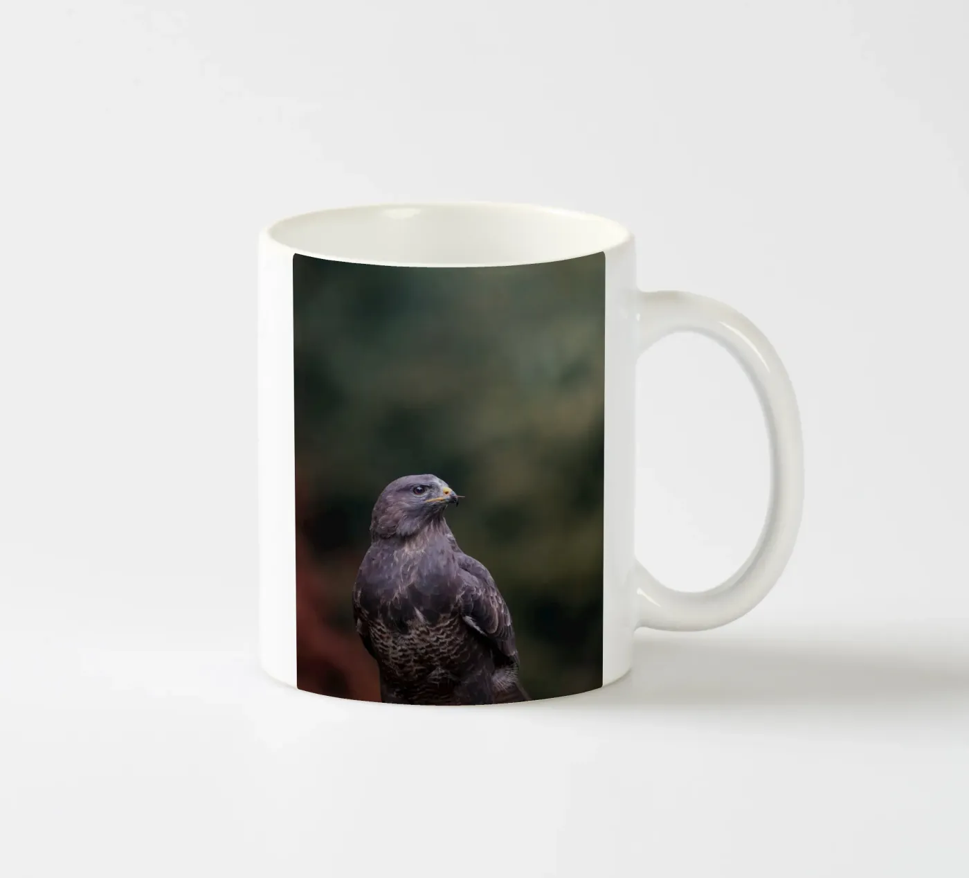 Buzzard ceramic mug by Tom's Wildlife