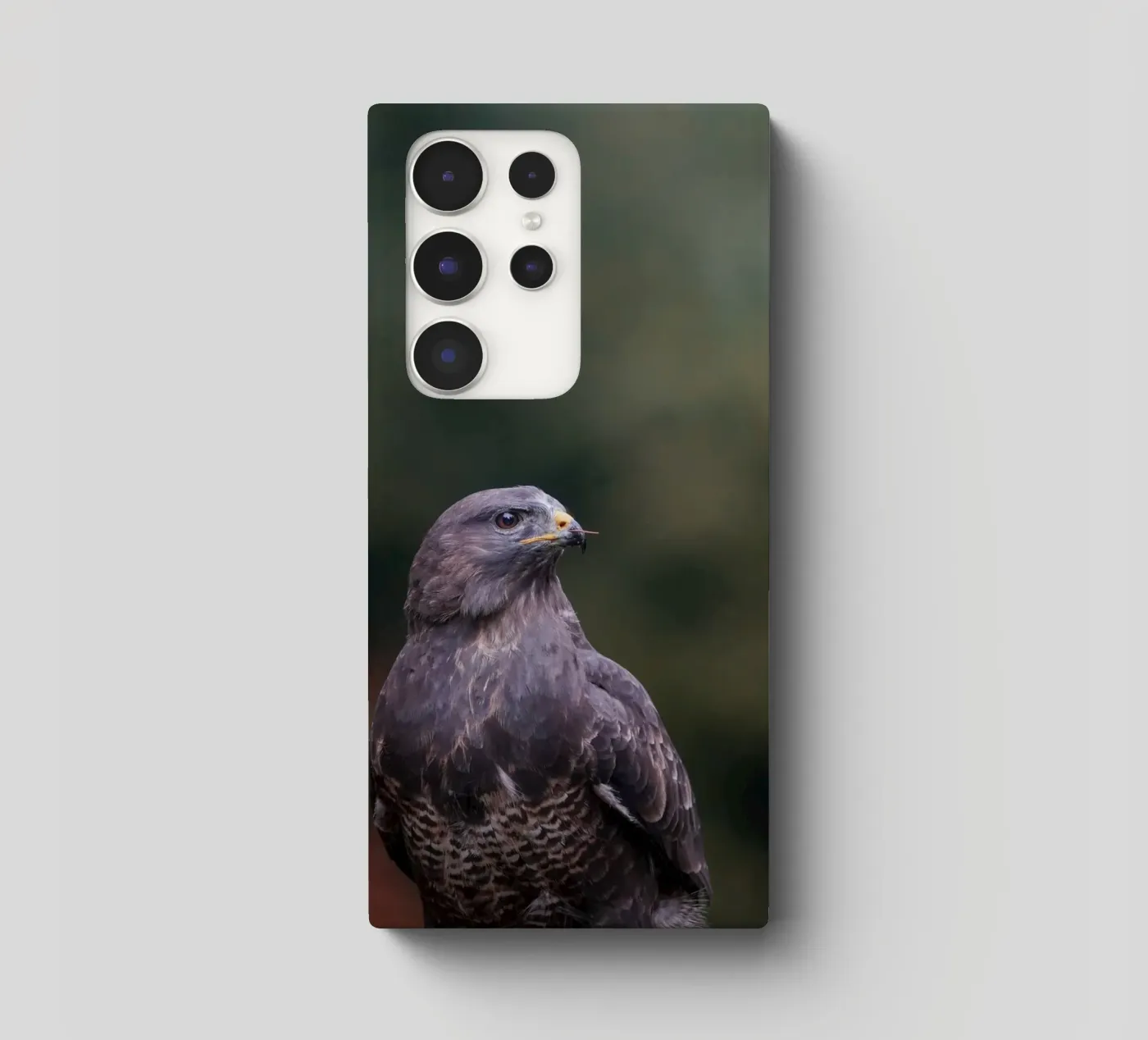 Poiana cover samsung da Tom's Wildlife