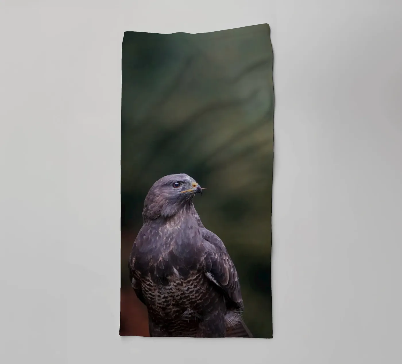 Buizerd badhanddoek van Tom's Wildlife