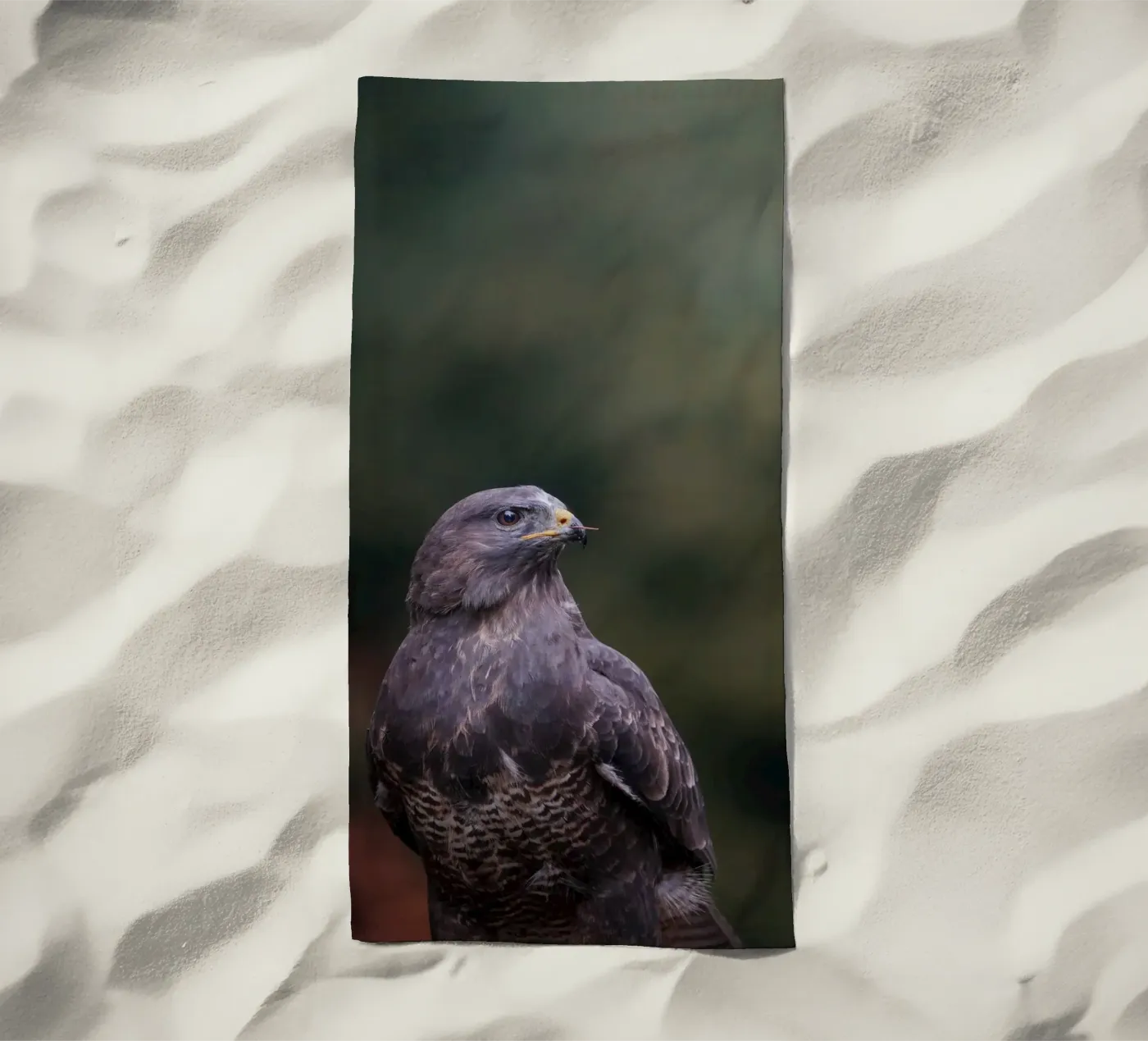 Bussard Strandtuch von Tom's Wildlife