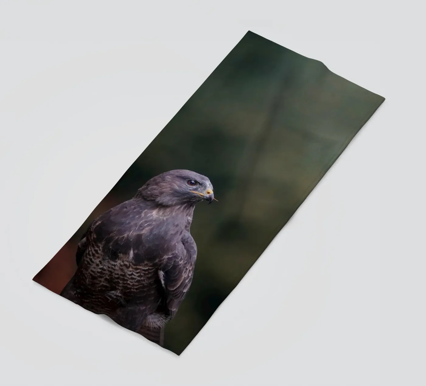 Bussard Strandtuch von Tom's Wildlife