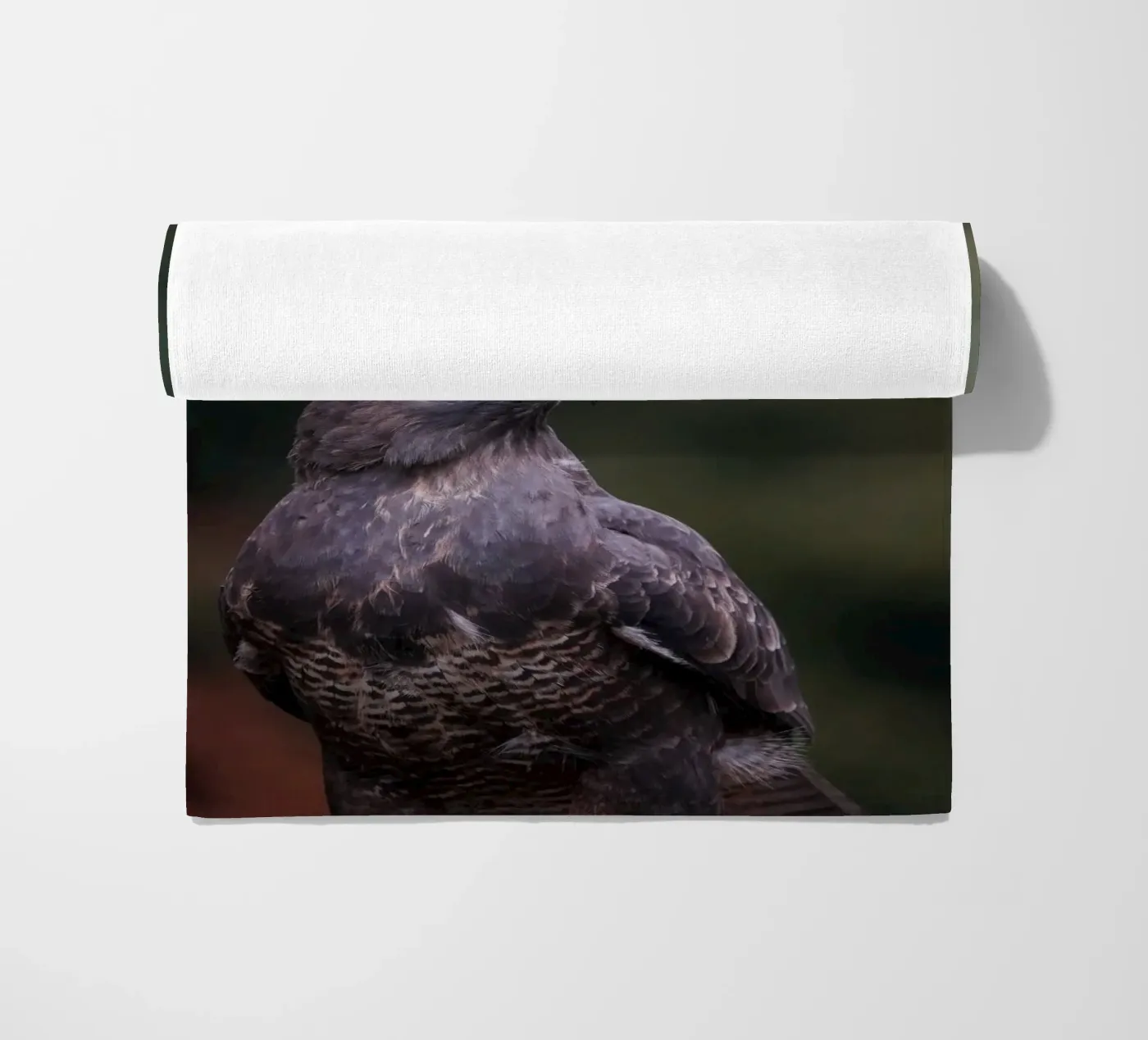 Bussard Strandtuch von Tom's Wildlife