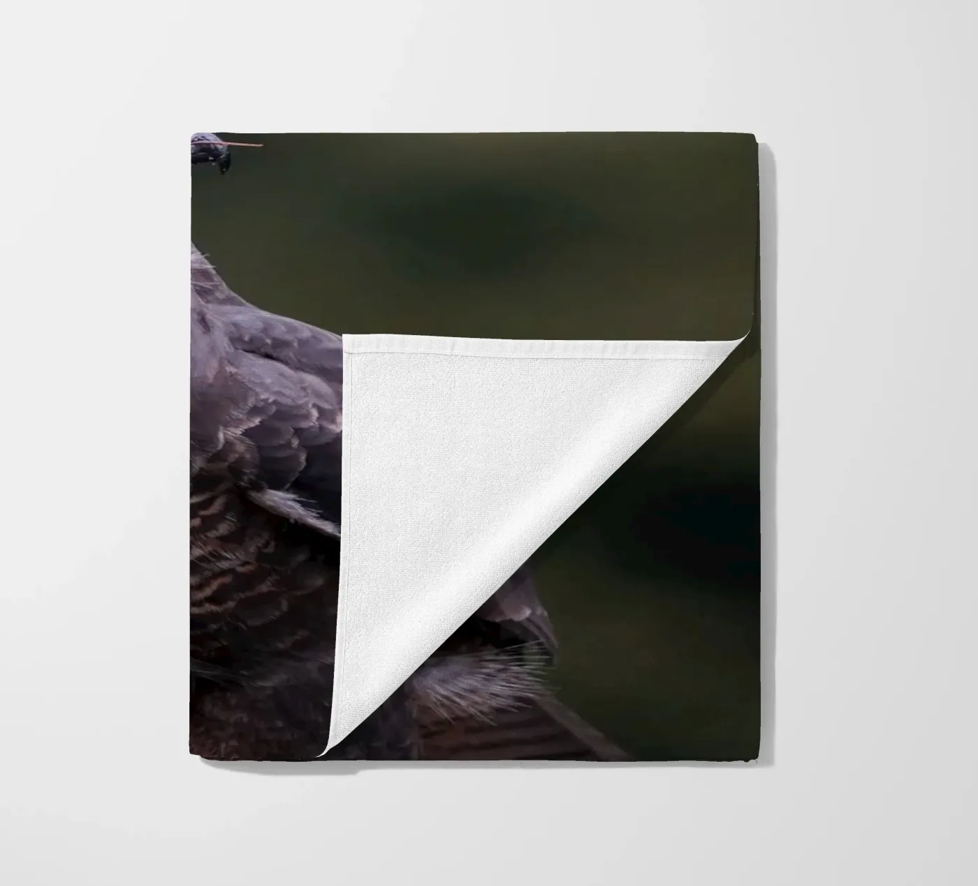 Bussard Strandtuch von Tom's Wildlife