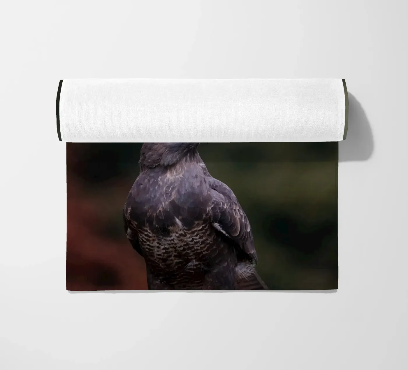 Bussard Strandtuch von Tom's Wildlife