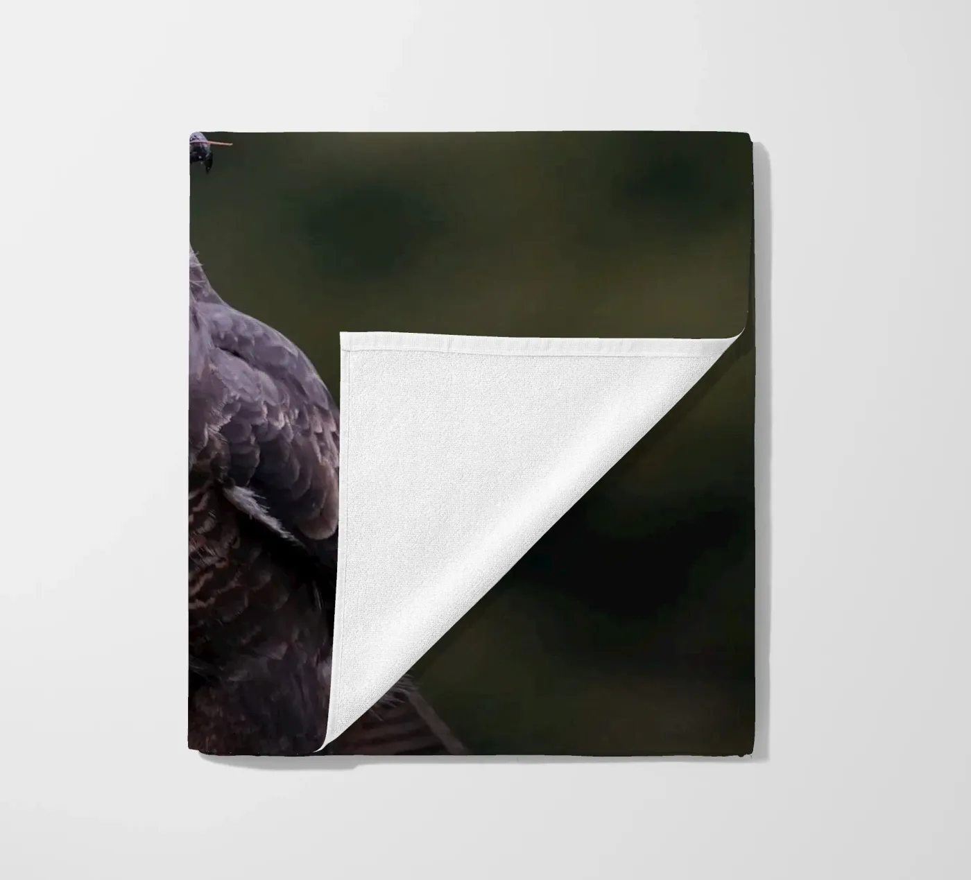 Bussard Strandtuch von Tom's Wildlife