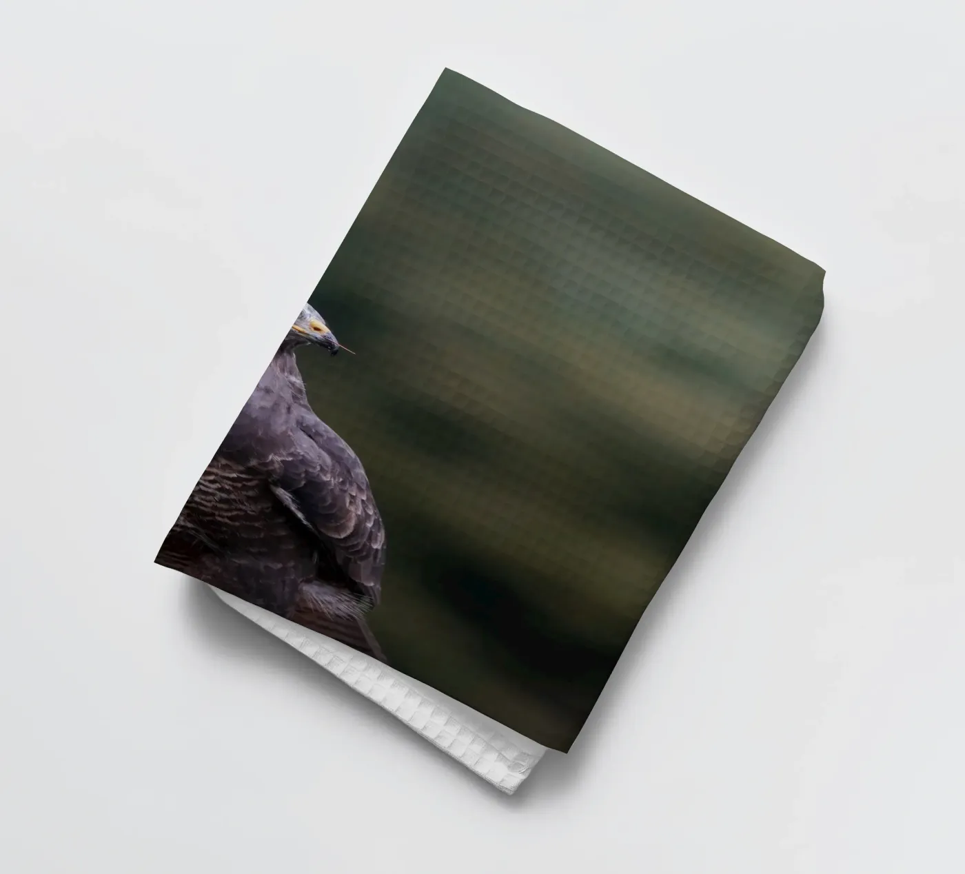 Buzzard tea towel by Tom's Wildlife