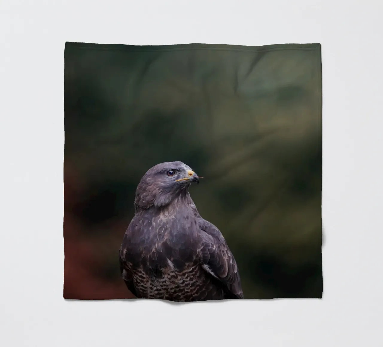 Buizerd fleecedeken van Tom's Wildlife