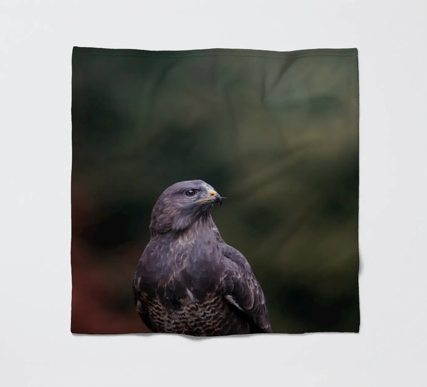 Buizerd fleecedeken van Tom's Wildlife