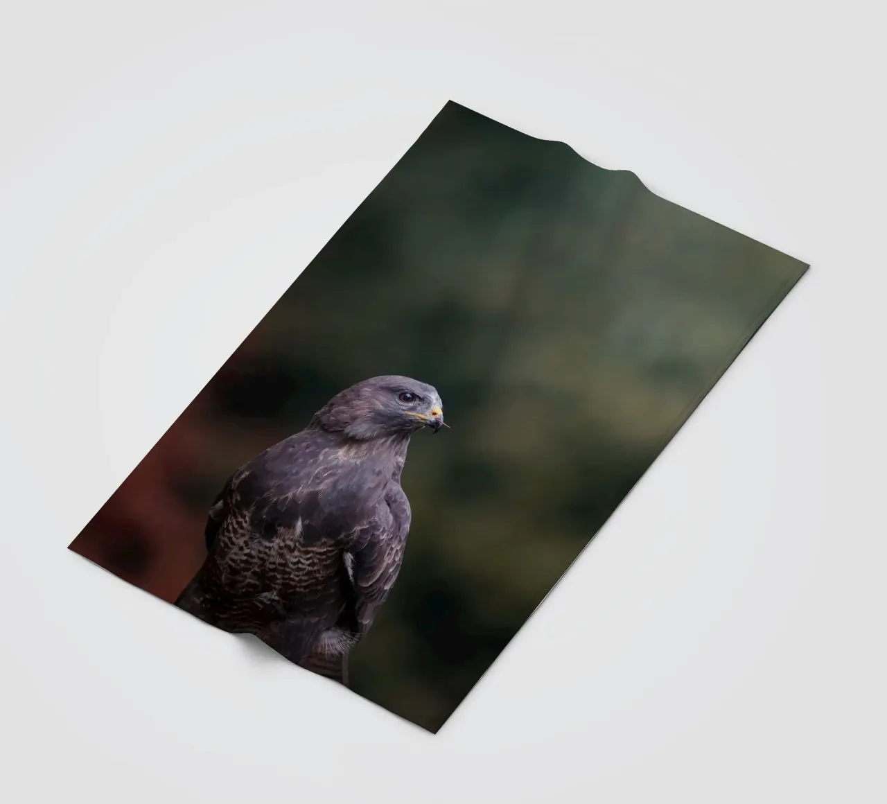 Buizerd fleecedeken van Tom's Wildlife