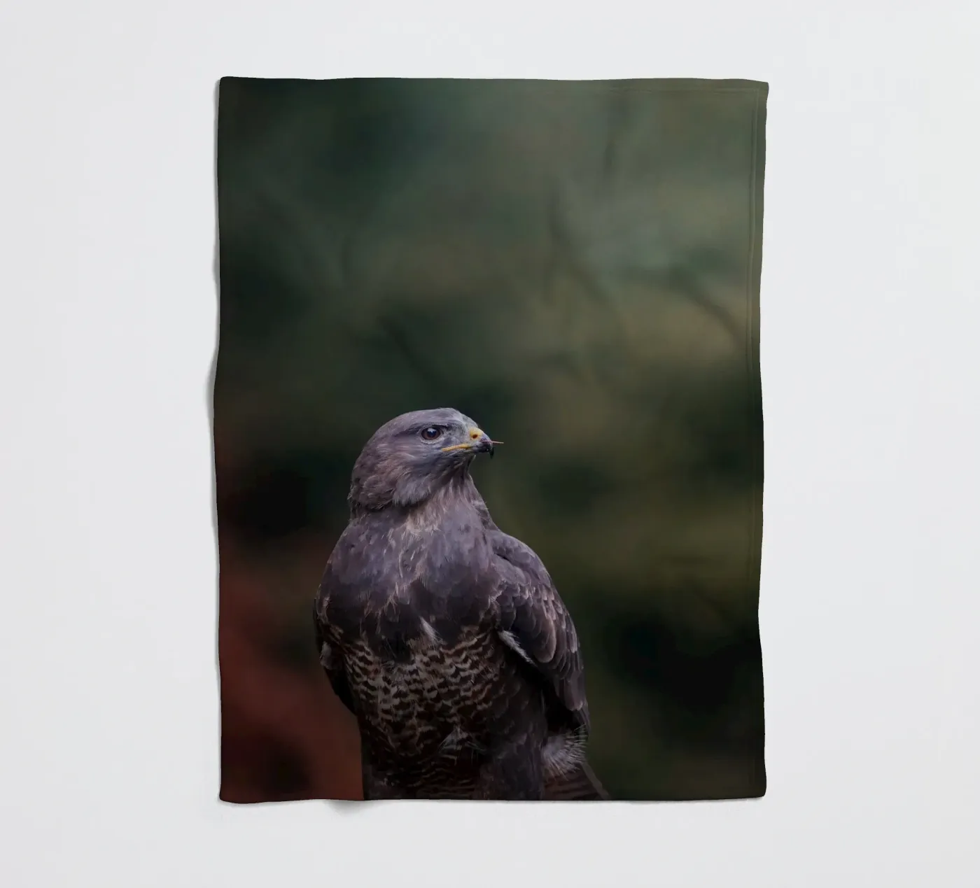 Buzzard Fleecedecke von Tom's Wildlife