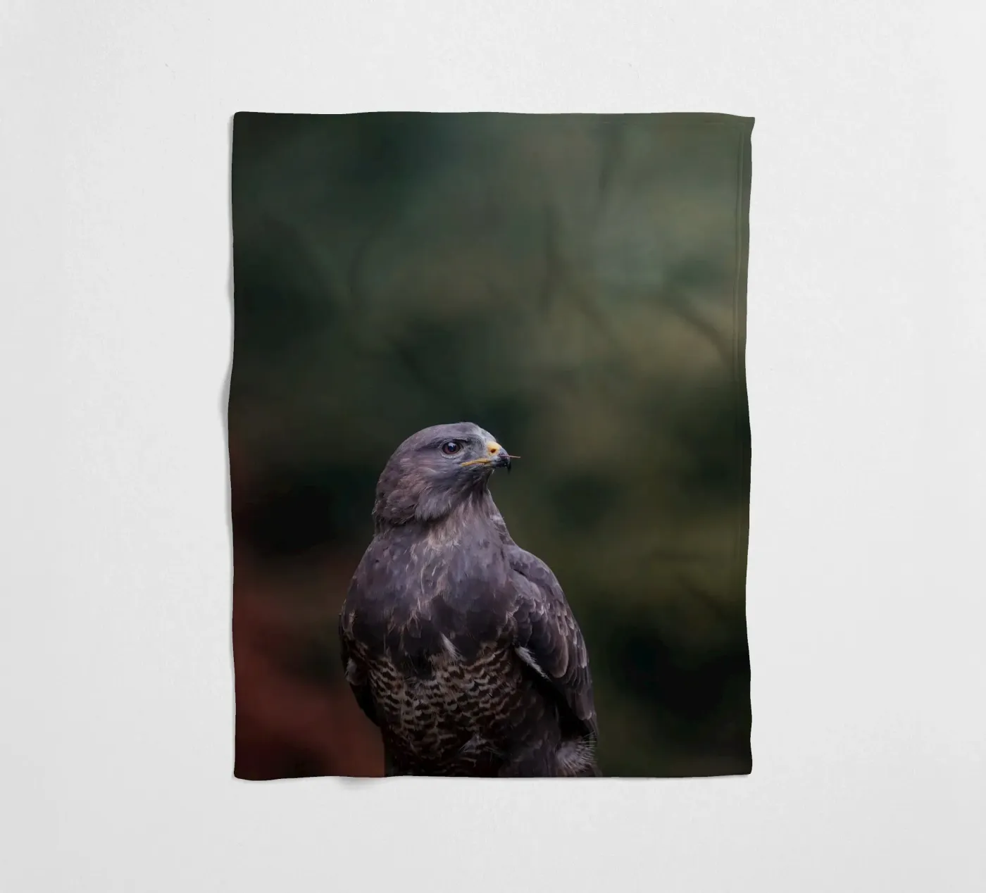 Buizerd fleecedeken van Tom's Wildlife
