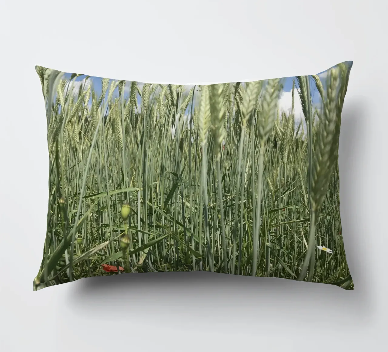 Poppy in the rye field decorative cushion by Art Studio by Iris